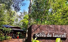 Selva De Laurel